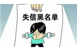 南充企业清欠服务