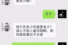 南充债务清欠服务